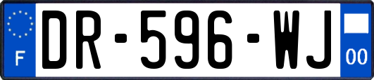 DR-596-WJ