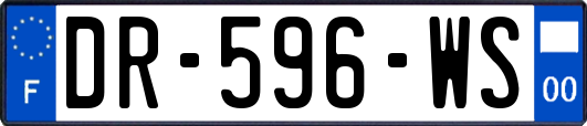 DR-596-WS