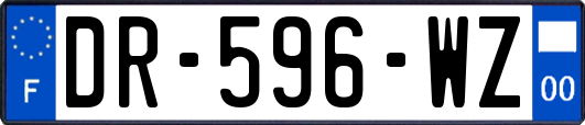 DR-596-WZ