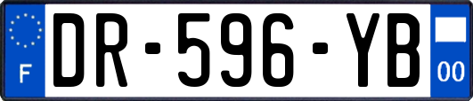 DR-596-YB