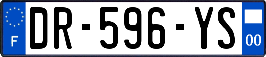 DR-596-YS