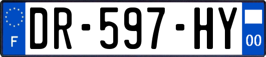 DR-597-HY