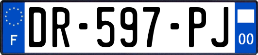 DR-597-PJ