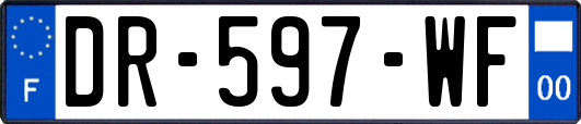 DR-597-WF