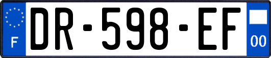 DR-598-EF