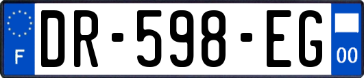 DR-598-EG