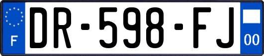 DR-598-FJ