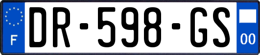 DR-598-GS