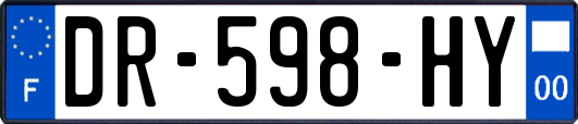 DR-598-HY