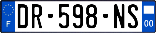 DR-598-NS