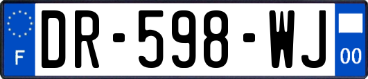 DR-598-WJ