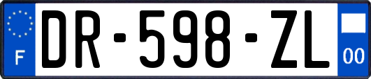 DR-598-ZL