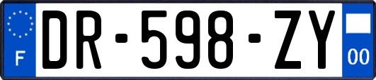 DR-598-ZY