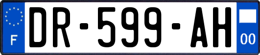 DR-599-AH