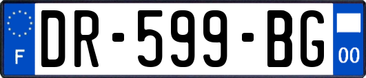 DR-599-BG