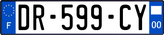 DR-599-CY