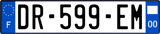 DR-599-EM
