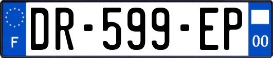 DR-599-EP