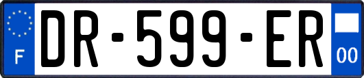 DR-599-ER