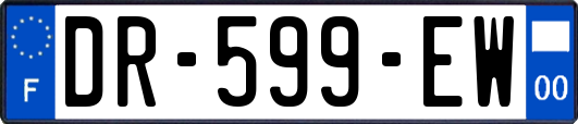 DR-599-EW