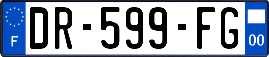 DR-599-FG