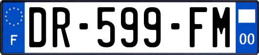 DR-599-FM