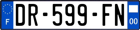 DR-599-FN