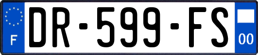 DR-599-FS