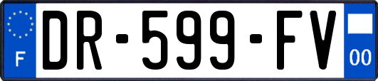DR-599-FV