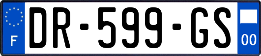 DR-599-GS