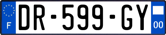 DR-599-GY