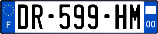 DR-599-HM
