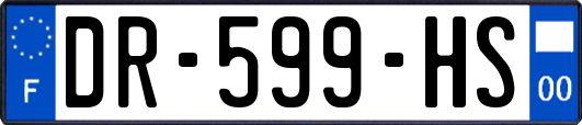 DR-599-HS