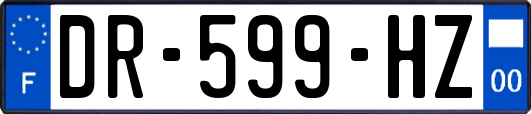 DR-599-HZ