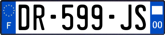 DR-599-JS