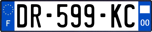 DR-599-KC