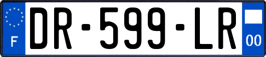 DR-599-LR