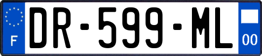 DR-599-ML