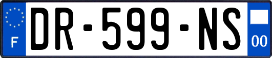 DR-599-NS