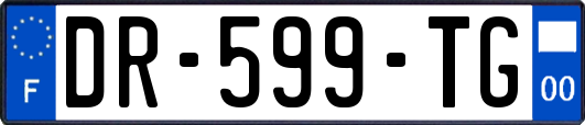 DR-599-TG