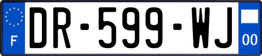 DR-599-WJ