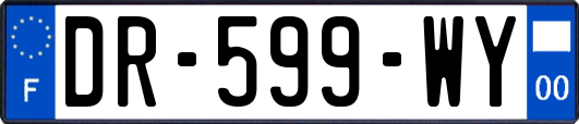 DR-599-WY