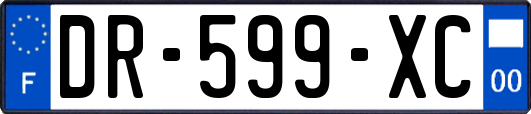 DR-599-XC