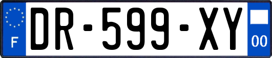 DR-599-XY