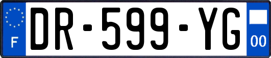 DR-599-YG