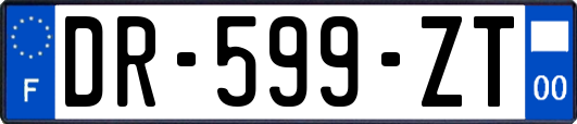 DR-599-ZT