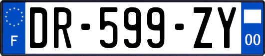 DR-599-ZY