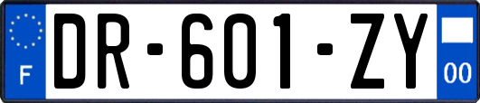 DR-601-ZY