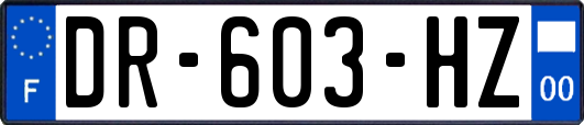 DR-603-HZ