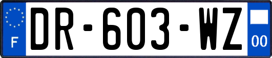 DR-603-WZ